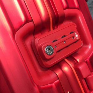 Louis Vuitton RIMOW Supreme Luggage - Image 10