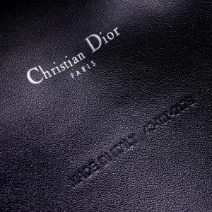 Dior WOC - Image 3