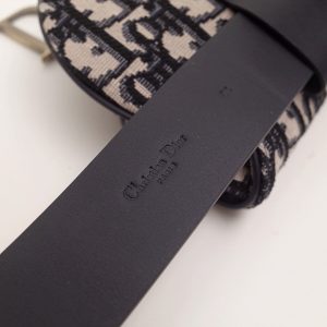 Dior saddle - Image 6