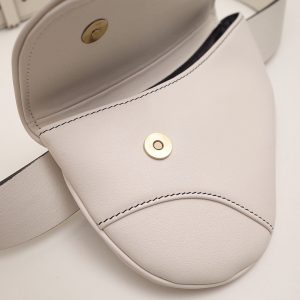 Dior saddle - Image 4
