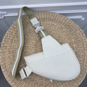 Dior saddle - Image 9