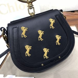 Chloe Nile bag - Image 8