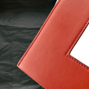 Celine Frame Bag - Image 6