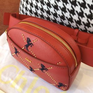 Chloé Belt Bag - Image 4