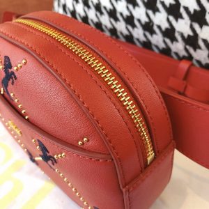 Chloé Belt Bag - Image 5