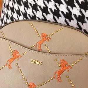 Chloé Belt Bag - Image 4