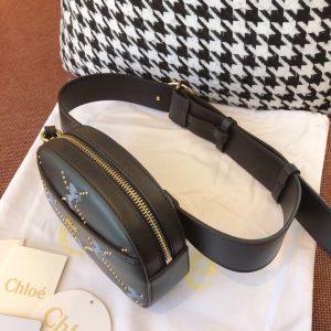 Chloé Belt Bag - Image 4