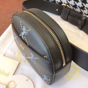 Chloé Belt Bag - Image 5
