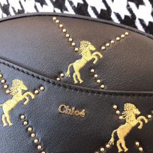 Chloé Belt Bag - Image 3