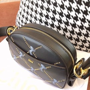 Chloé Belt Bag - Image 3