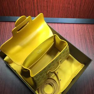 Goyard saigon mini - Image 6